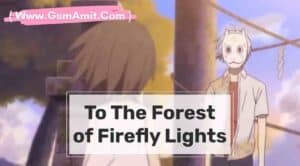 To the Forest of Firefly Lights